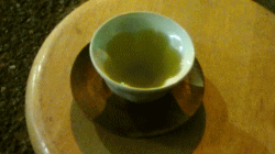 takoyaki20090205.gif